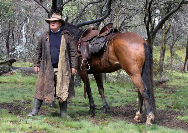 Jezdec a kůň — Stock fotografie