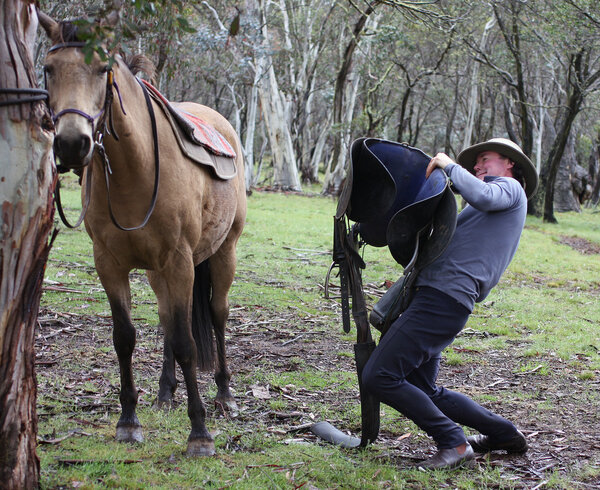 Rider and Horse