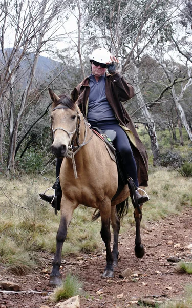 Всадник и лошадь — стоковое фото