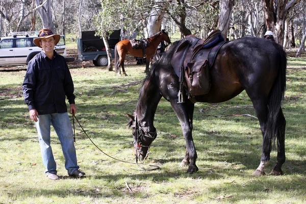 Jeździec i koń — Zdjęcie stockowe