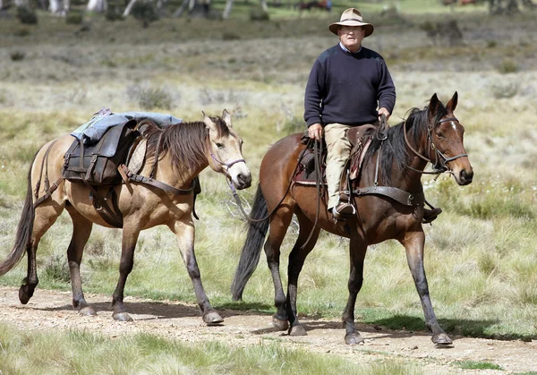 骑手和马 — 图库照片
