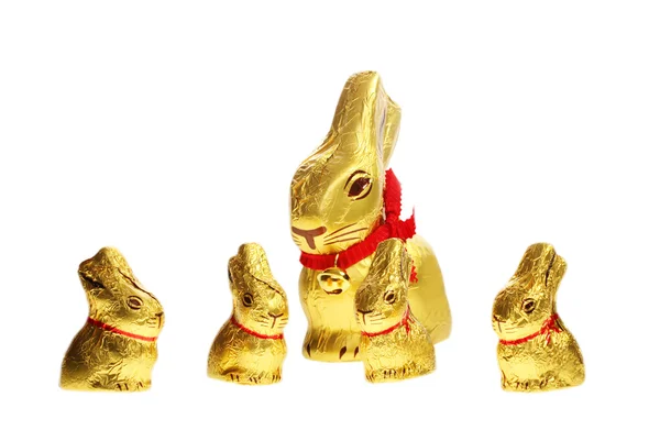 Zlaté čokoládové velikonoční zajíčky — Stock fotografie