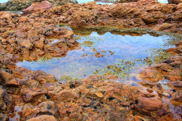 Rocks Pool — стоковое фото