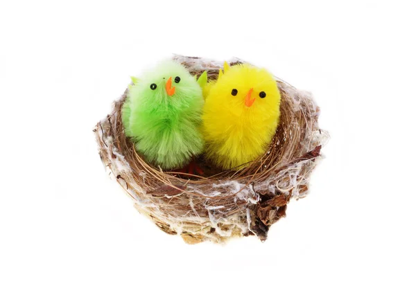 stock image Easter chickens