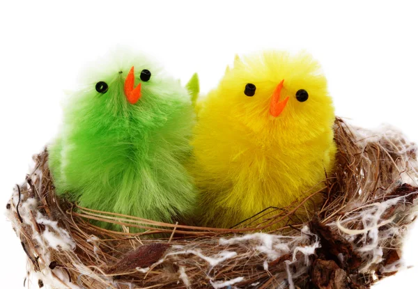 stock image Easter chickens