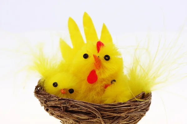 stock image Easter chickens