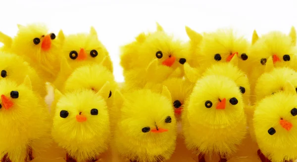 stock image Easter chickens