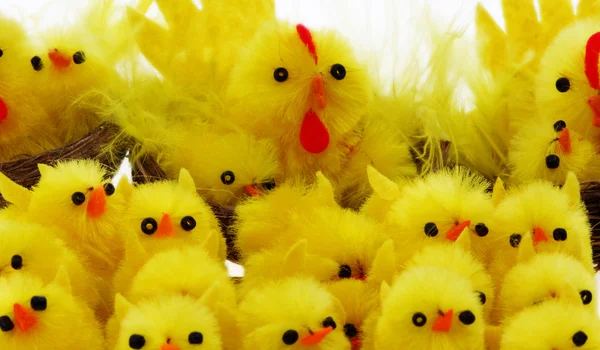 stock image Easter chickens