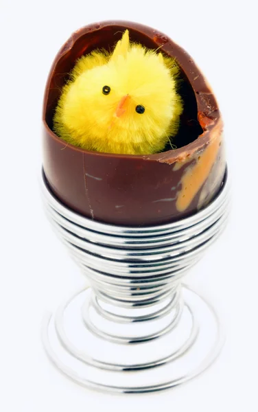 Decorative easter chickens — Stock Photo, Image