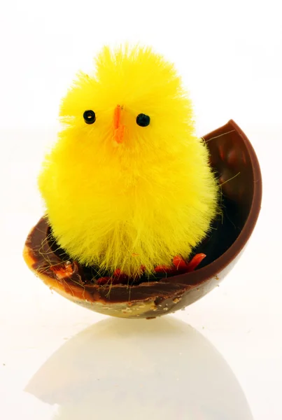 Kycklingar dekorativa påsk — Stockfoto