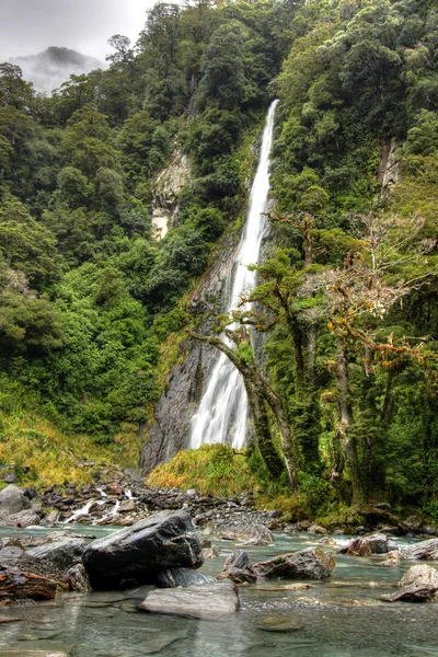 Regenwoud landschap — Stockfoto