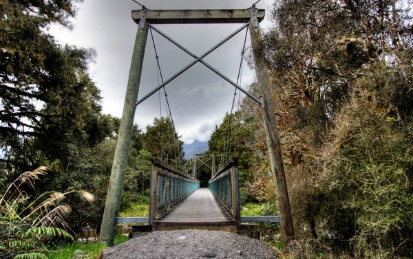Bridge in a New Zealand rainforest — Stock Photo, Image
