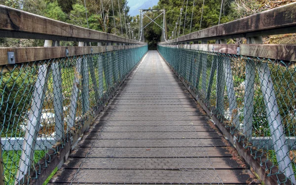 Мост в тропических лесах Новой Зеландии — стоковое фото