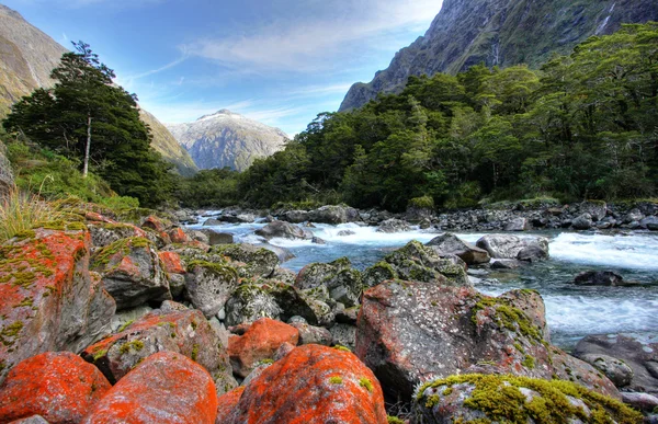Гірські та річкові пейзажі — стокове фото