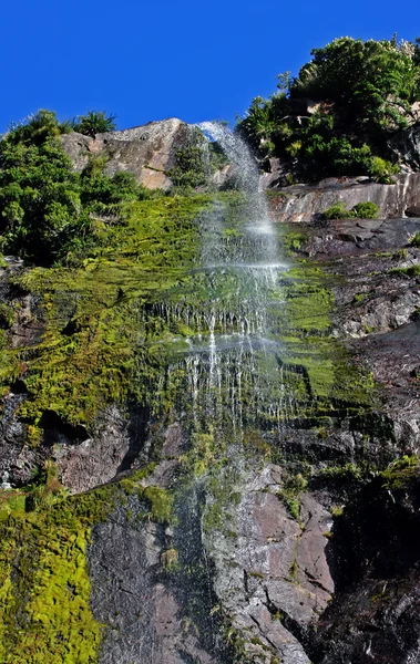 Мілфорд звук водоспад — стокове фото