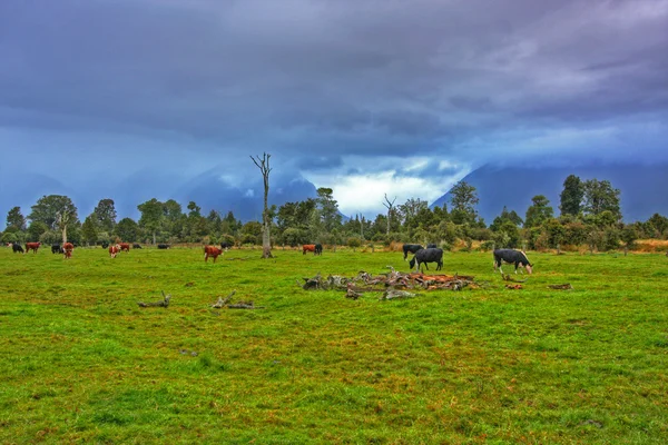 Farm landscape — Stock Photo, Image