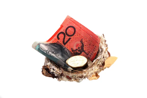 Money in nest — Stock Photo, Image