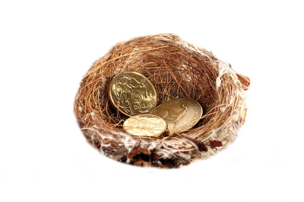 Peníze v hnízdě — Stock fotografie