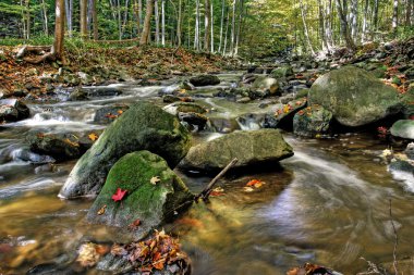 Waterfall on small forest river clipart