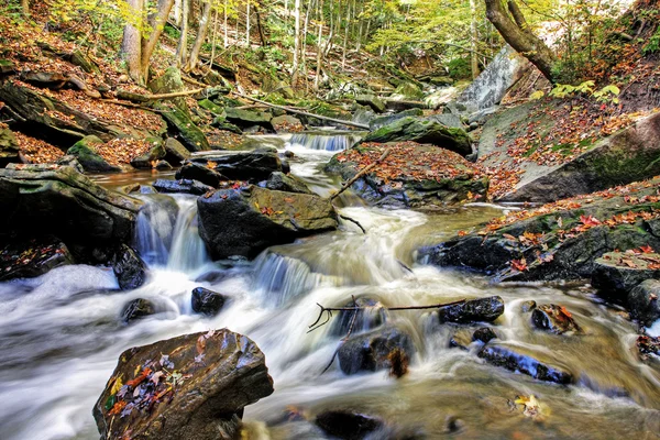 Kleiner Waldfluss — Stockfoto