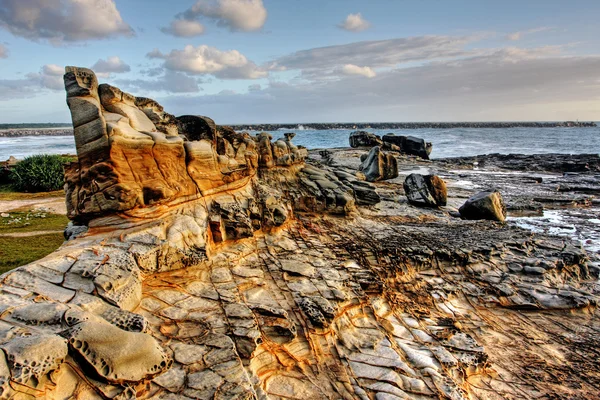Kayalık deniz uyanık — Stok fotoğraf