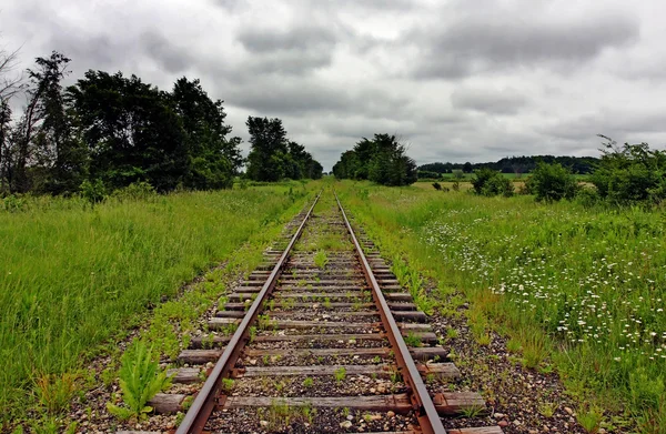Gras auf einer Eisenbahn — Stockfoto