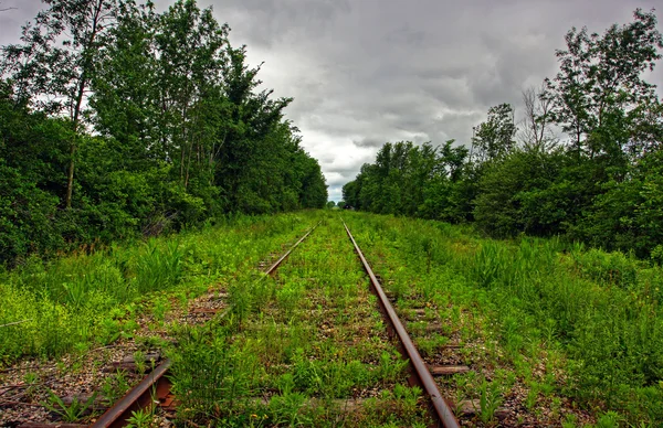 Hierba en un ferrocarril — Foto de Stock