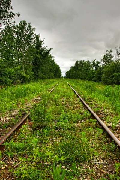 Gras auf einer Eisenbahn — Stockfoto