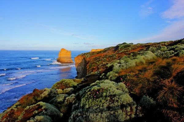 Kustnära cliff landskap — Stockfoto