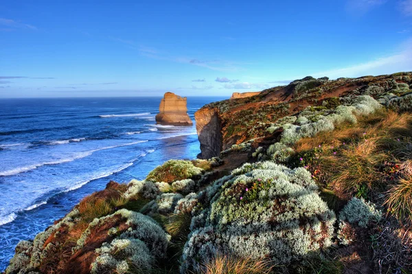 Kustnära cliff landskap — Stockfoto