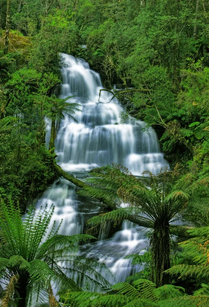 Зелений водоспад — стокове фото