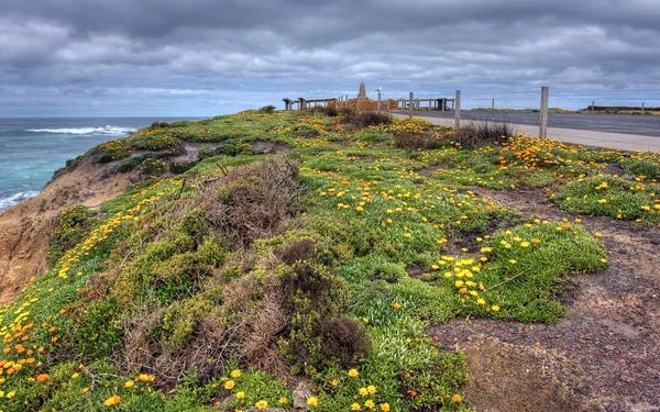 Kıyı vista — Stok fotoğraf