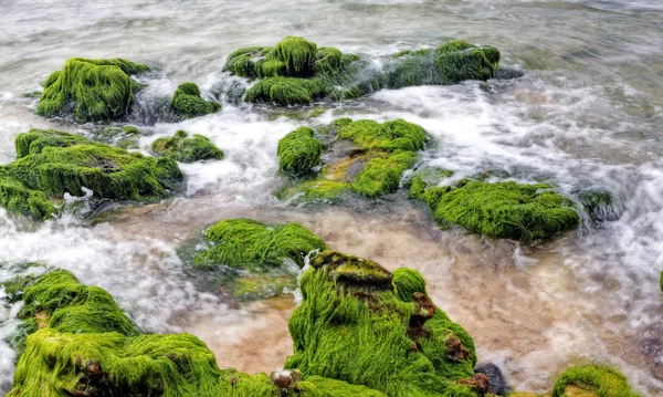 stock image Vibrant coastal vista