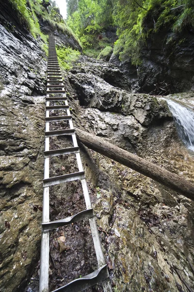 Ladder near mountain waterfall — Stock Photo, Image