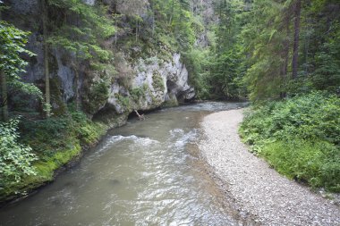 Dağ nehri