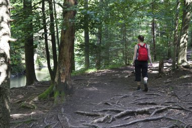 Woman hiking in mountains clipart