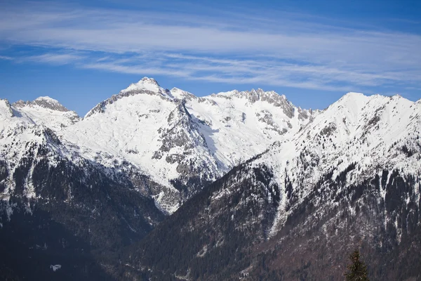 stock image Winter landscape