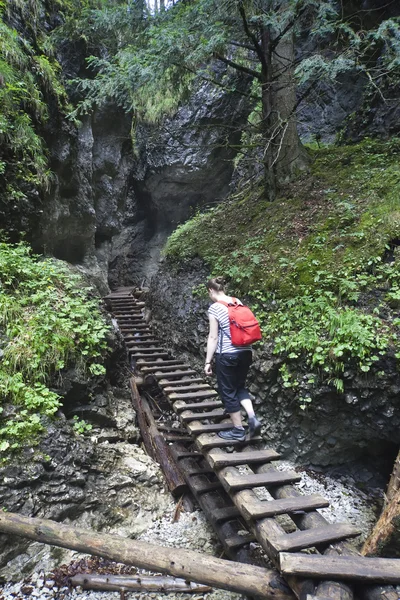 Touristenmädchen spaziert durch den Bergwald — Stockfoto