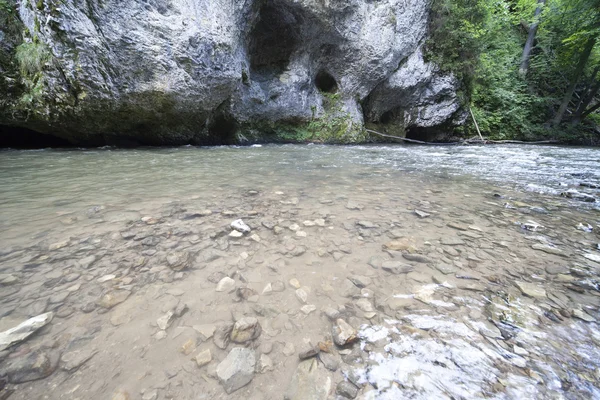 Mountain river — Stock Photo, Image