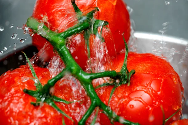 Rinsing Vine Ripened Tomato — Stock Photo, Image
