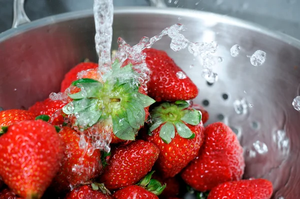 Erdbeeren spülen — Stockfoto