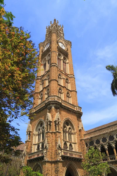 Мумбайский университет — стоковое фото