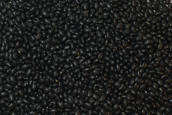 黑扁豆 — 图库照片