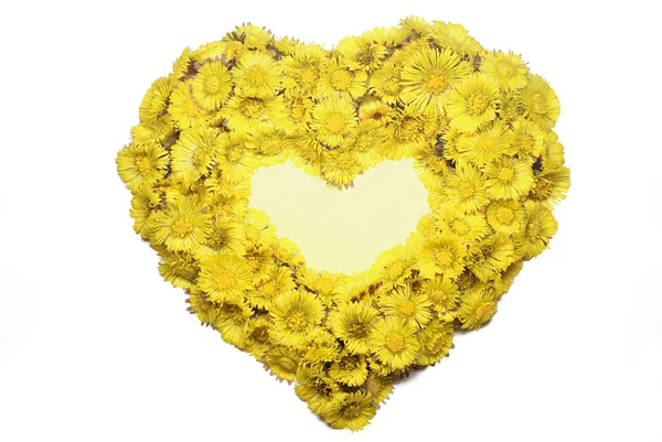 stock image Coltsfoot’s heart