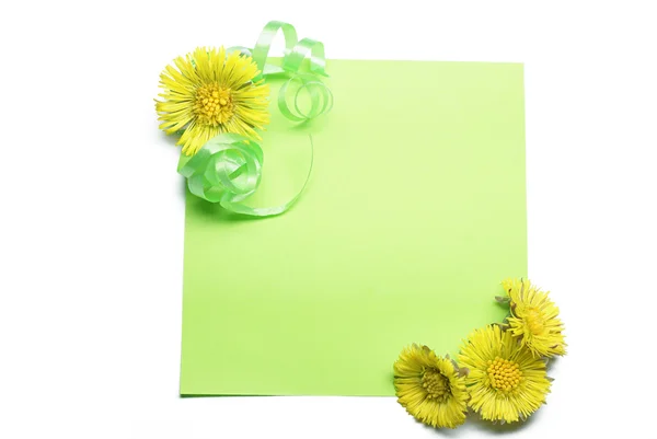 Blank note with flowers — Stock Photo, Image