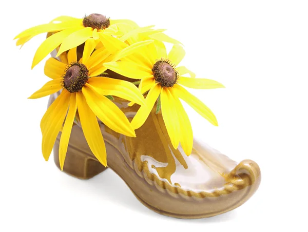 Clog with flowers — Stock Photo, Image