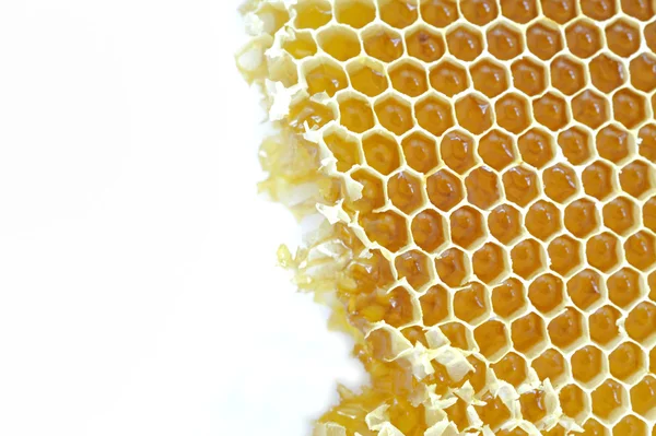 Achtergrond honingraat — Stockfoto