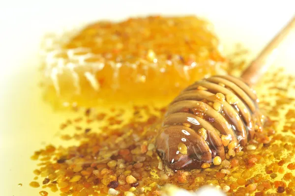 Honung och pollen — Stockfoto