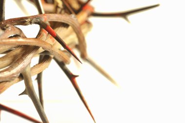 Crown of thorns isolated on white clipart