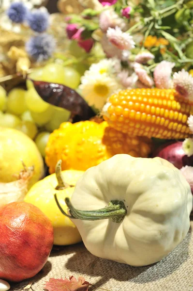 Disposizione autunnale con frutta e verdura — Foto Stock